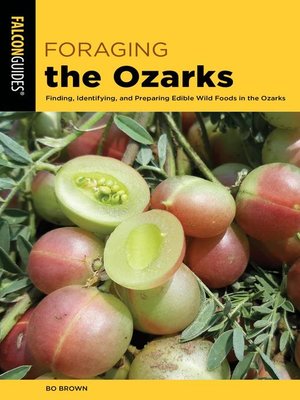 cover image of Foraging the Ozarks